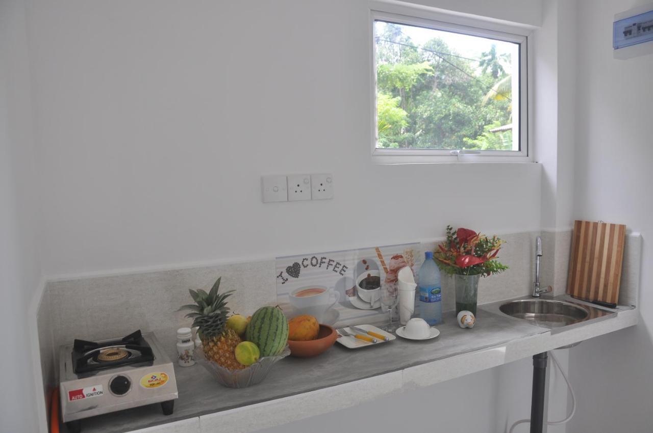 ベントータ Jungle Fence Bed & Breakfast エクステリア 写真