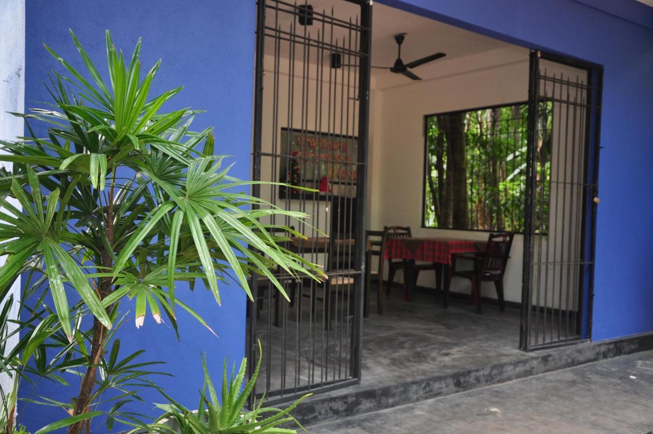 ベントータ Jungle Fence Bed & Breakfast エクステリア 写真