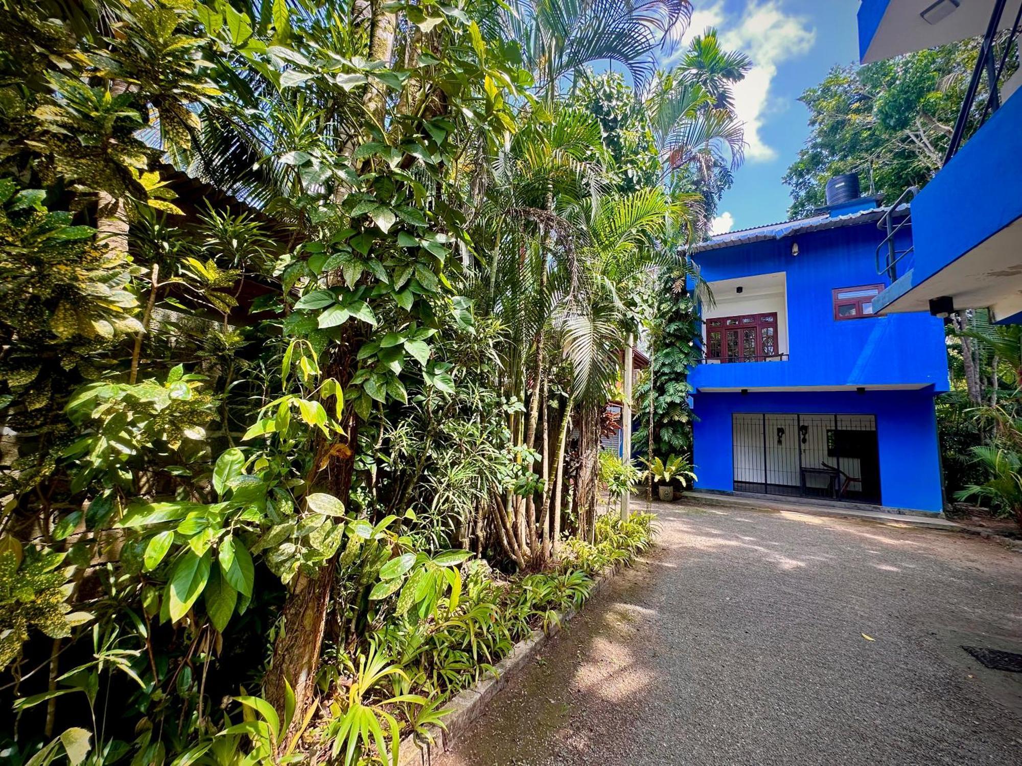 ベントータ Jungle Fence Bed & Breakfast エクステリア 写真