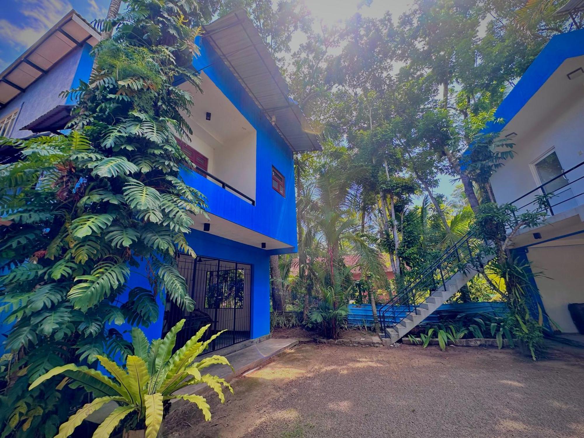 ベントータ Jungle Fence Bed & Breakfast エクステリア 写真