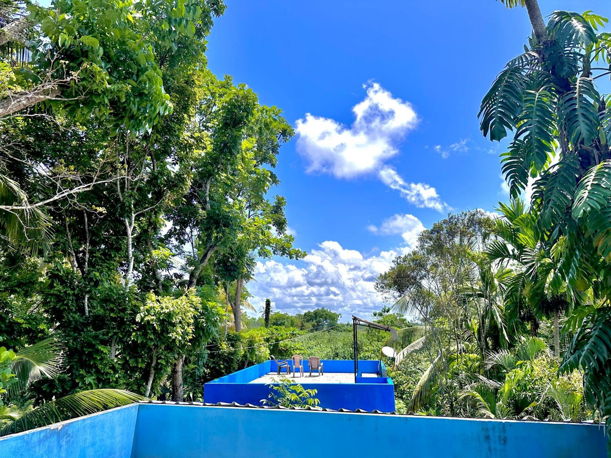 ベントータ Jungle Fence Bed & Breakfast エクステリア 写真